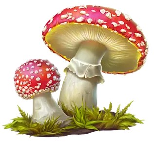 Fliegenpilz